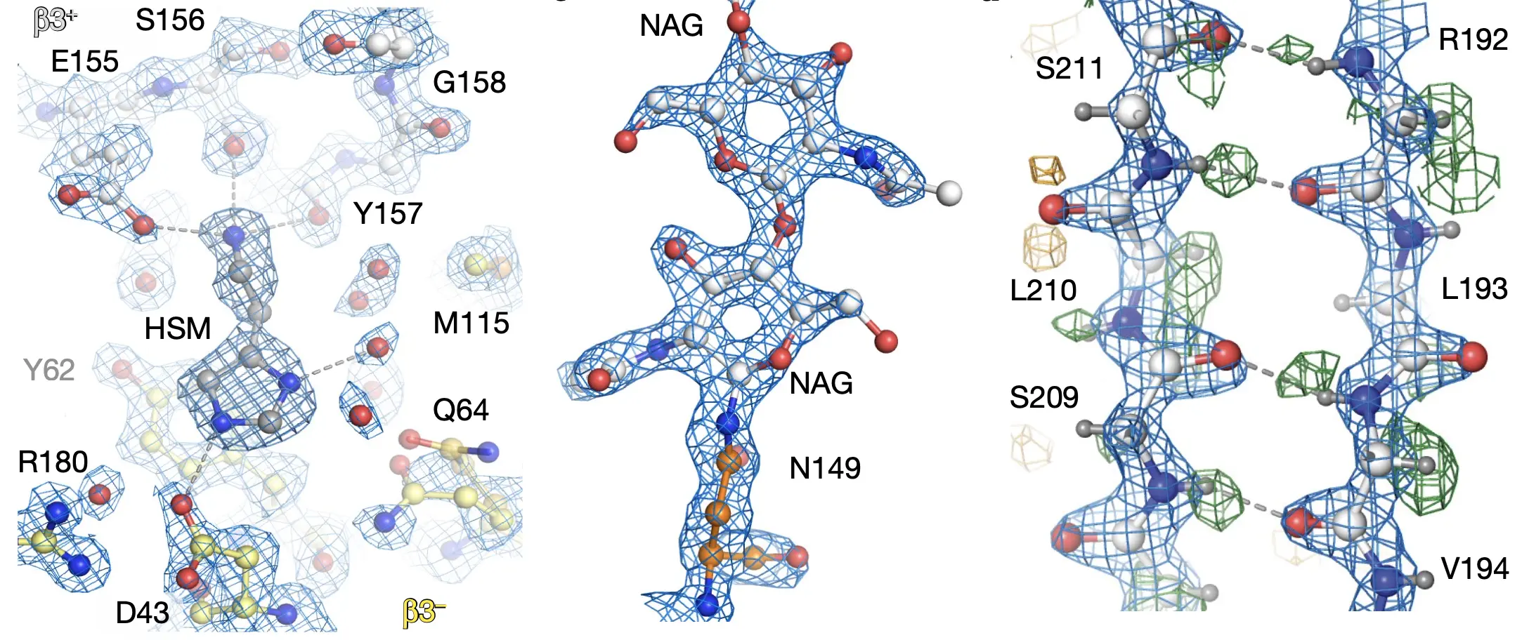 Detailed views of the 1.7 Å GABAA receptor map showing ligand coordination, modifications, and hydrogen bonds.